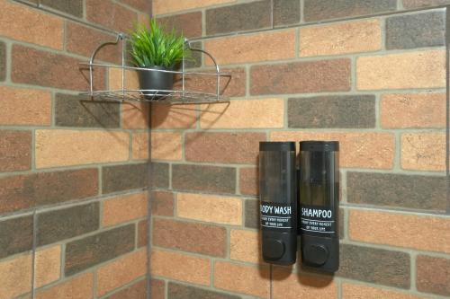 shampoo_and_bodywash